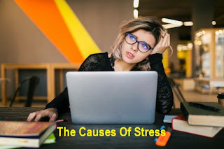 The Causes Of Stress