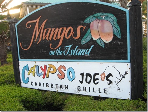Calypso Joes
