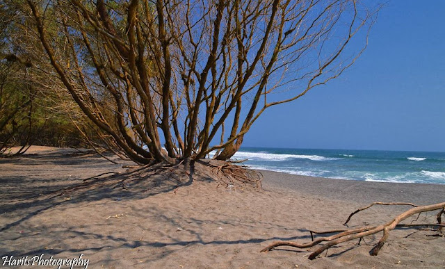 2 Pantai Jogja dan Rekomendasi Properti Murahnya