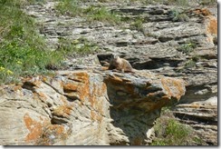 P1220050