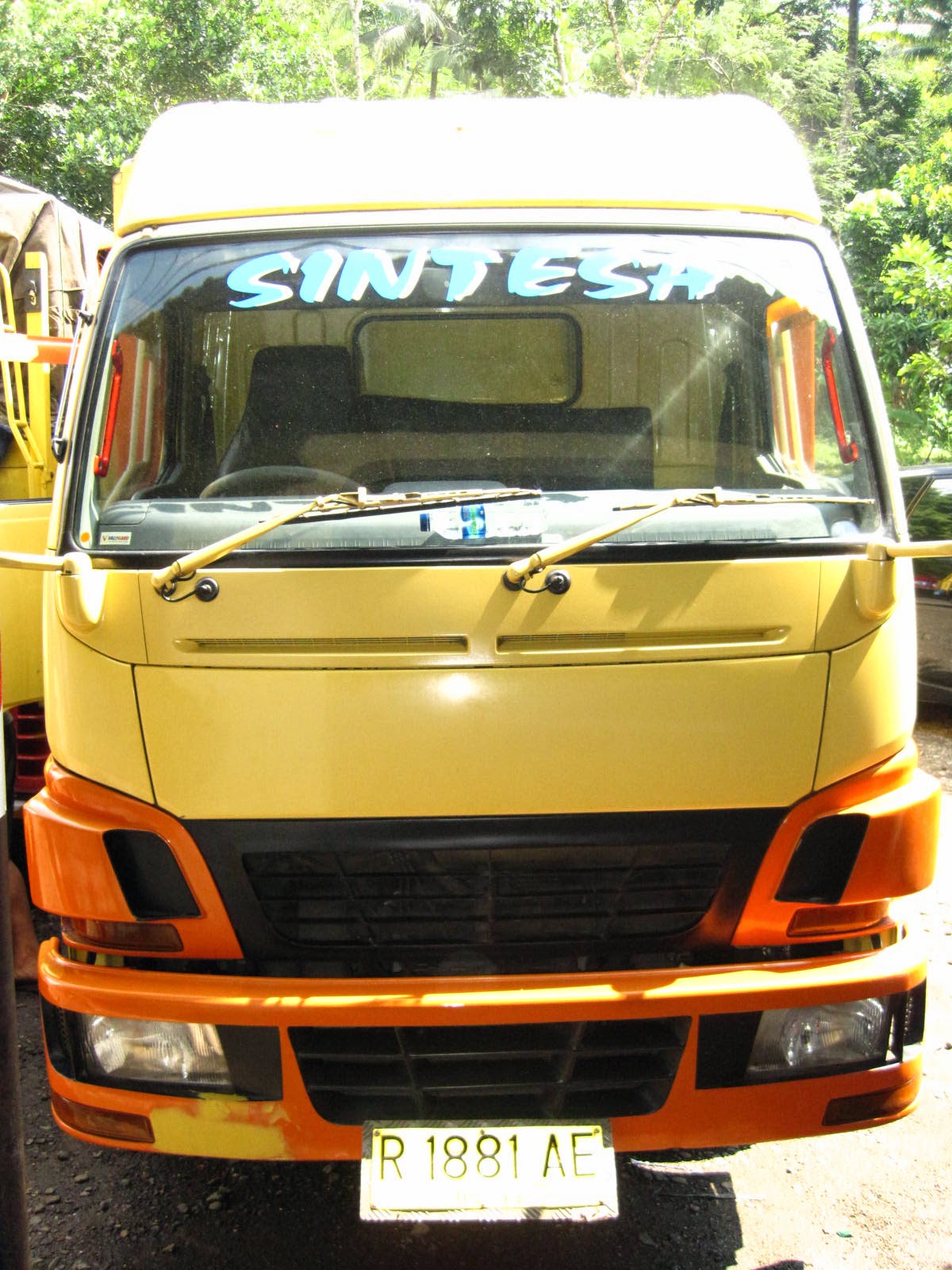 Kumpulan Modifikasi  Mobil Truk  Ps 120 2019 Modifikasi  