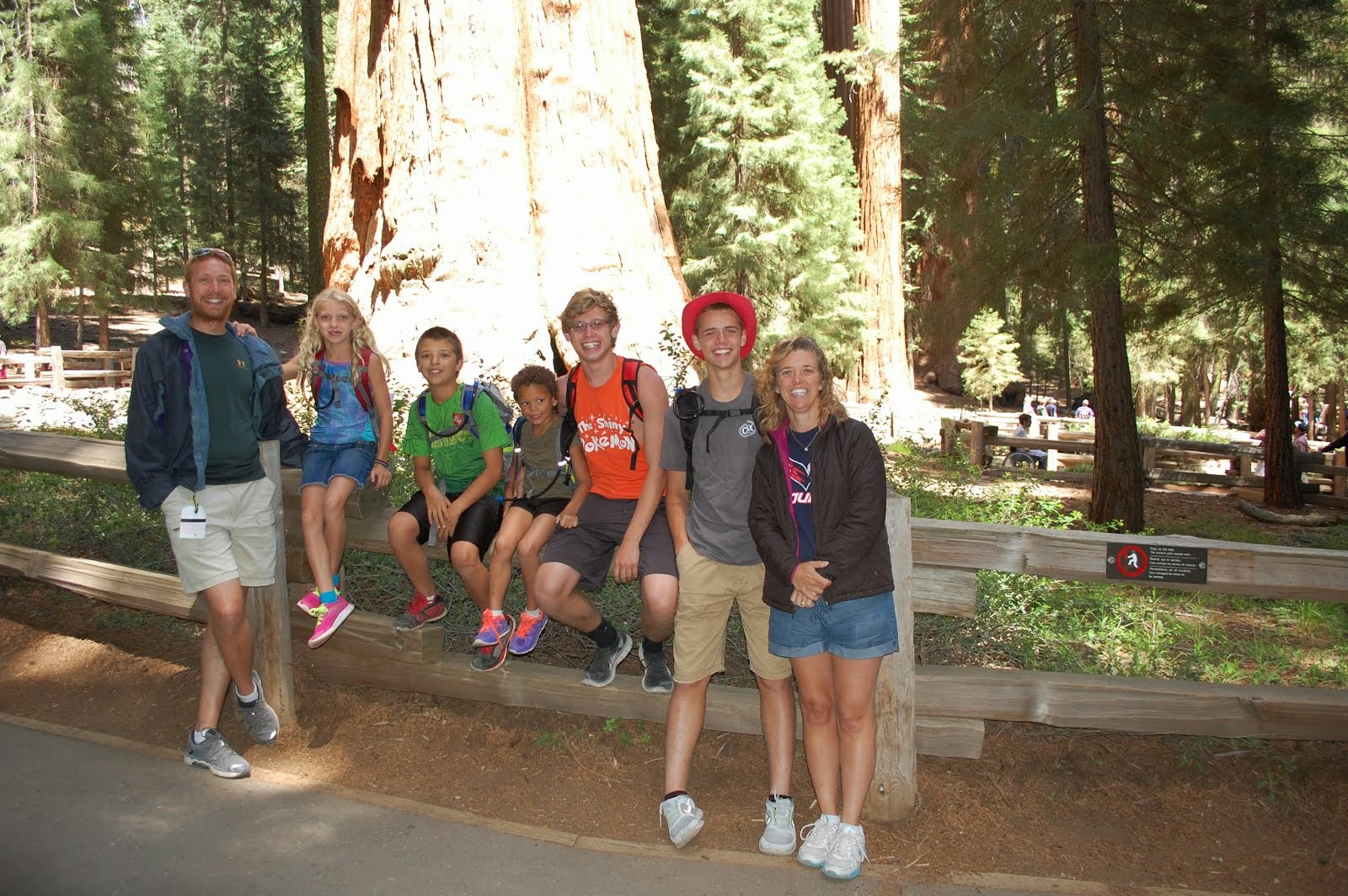 General Sherman Tree