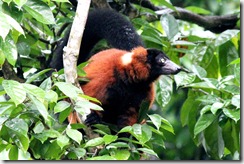AIMG_0666