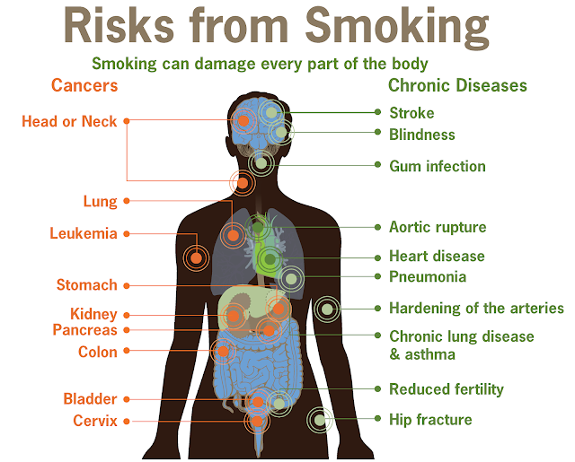 Smoking effects on male fertility