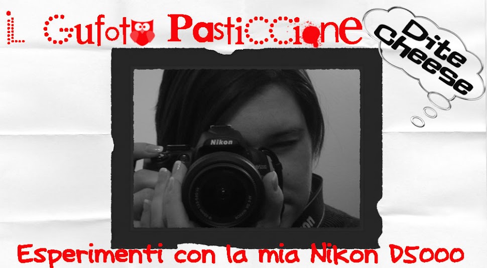 Il GuFoto Pasticcione