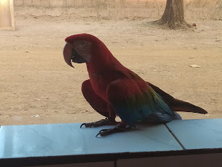 Visitante durante o almoço no restaurante