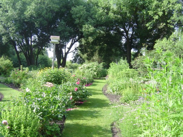 Perennial garden