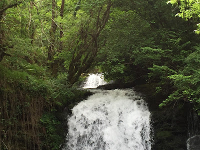 Spain, Marronda forest and the Eo River   by E.V.Pita (2015)  http://evpita.blogspot.com/2015/06/spain-marronda-forest-and-eo-river.html   Fraga de Marronda - río Eo (Baleira, Lugo)  por E.V.Pita (2015)