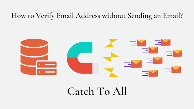 How to Verify Email Address – Catch To All