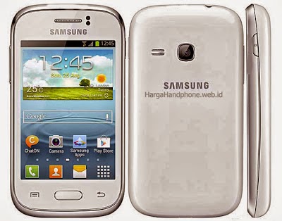 Samsung Galaxy Young S6310 Popular for BBM for Android 
