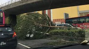 Typhoon Hato batters South China