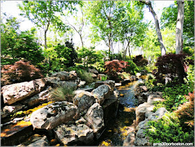 Dallas Arboretum & Botanical Garden: Nancy Rutchik Red Maple Rill