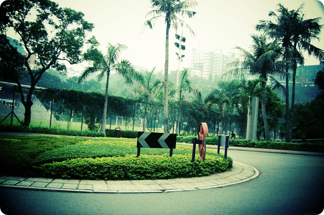 DSC_0504.JPG_effected