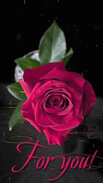 Decent Image Scraps: Beautiful Rose Animation