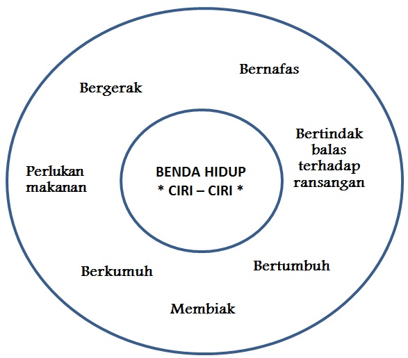 Sains 'Best': MIKROORGANISMA – PROSES HIDUP