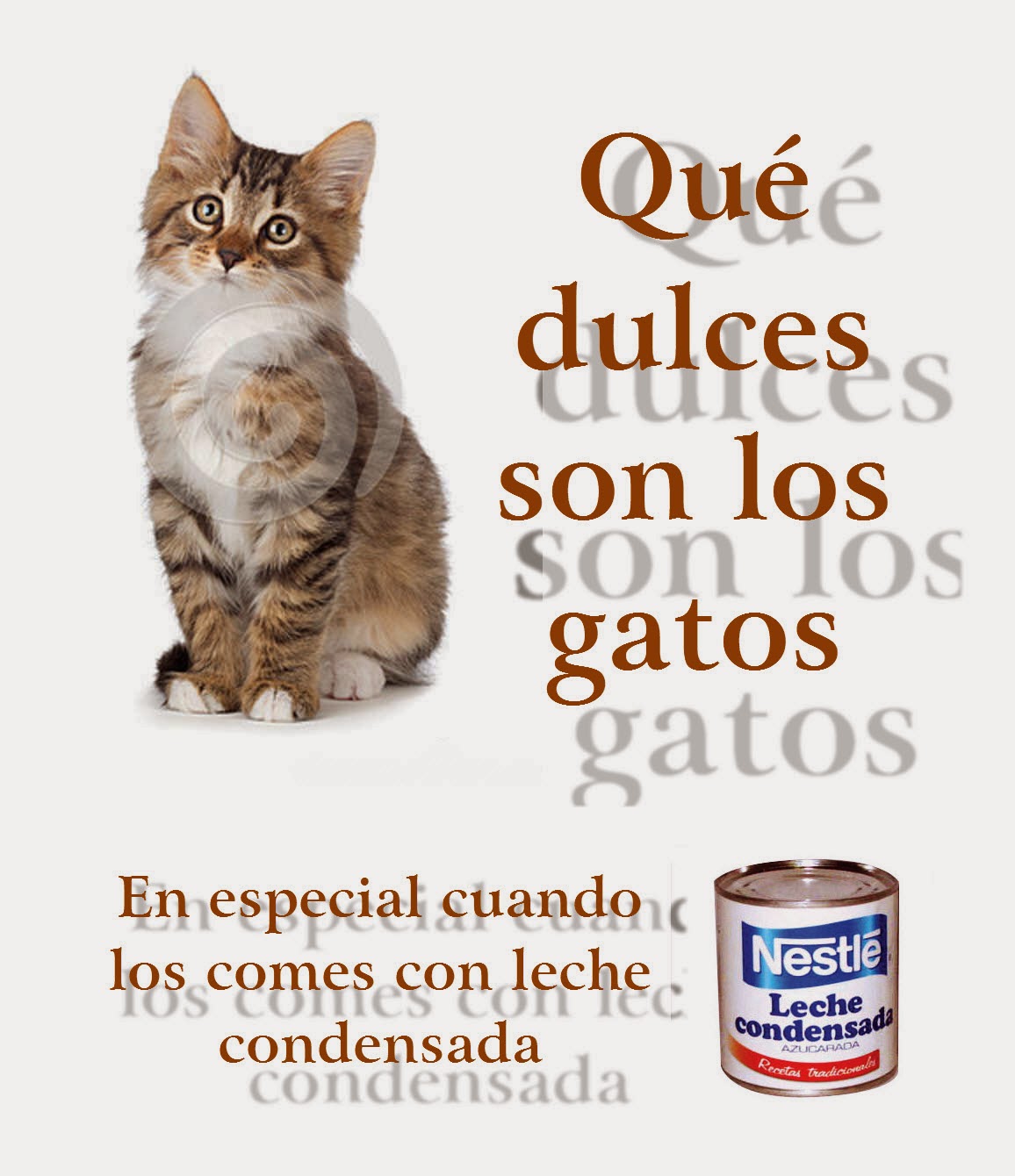 Mundo Loco Memes Por El Da Del Gato