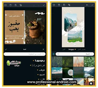 تحميل تطبيق كانفا برو Canva pro مهكر من ميديا فاير