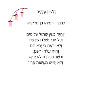 תמונה