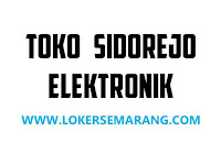 Lowongan Kerja Semarang Sopir B1 di Toko Sidorejo Elektronik 