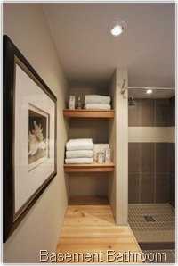 Basement Bathroom