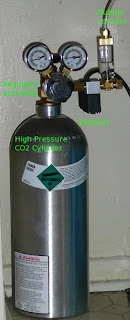 CO2 Cylinder with Regulator Assy