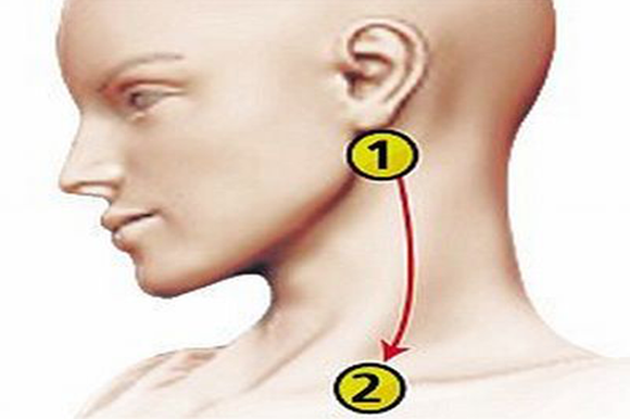 reducir-presion-arterial