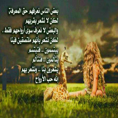 مقولات عن الحياة 