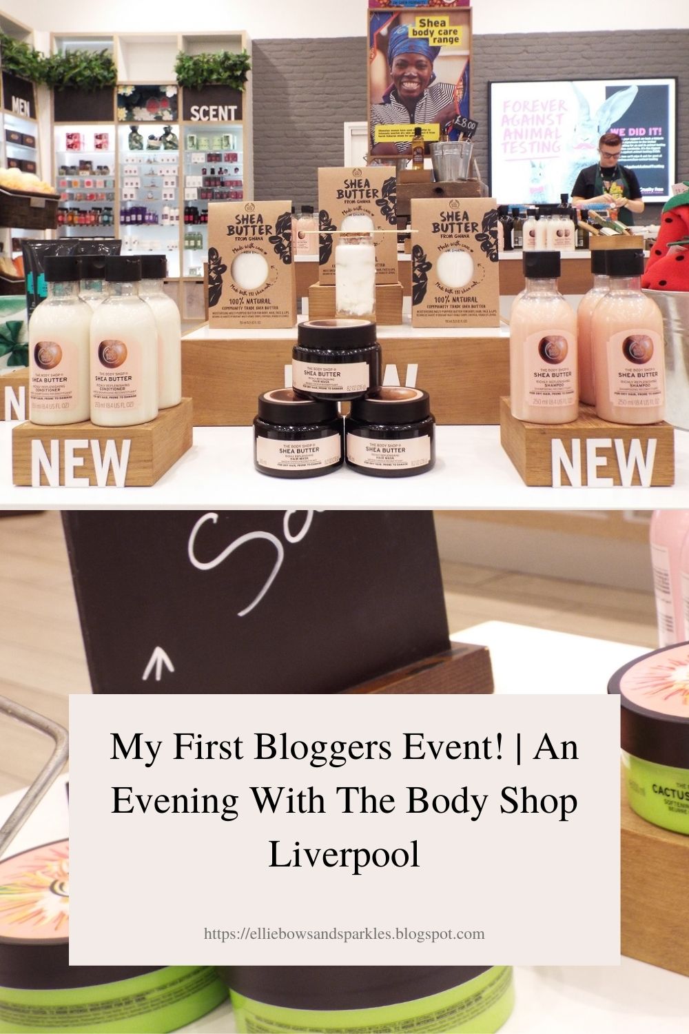 Pinterest picture to pin to save the blog post, My First Bloggers Event! | An Evening With The Body Shop Liverpool