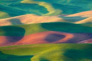 Perbukitan Palouse Berwarna