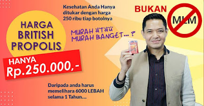 Harga British Propolis untuk Obat Sakit Tenggorokan Dan Batuk 