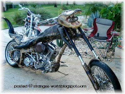 Crocodile Motorcycles