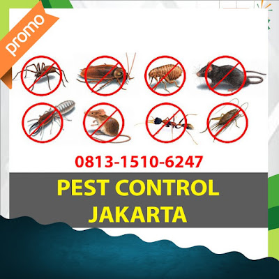Pest Control Basmi Tikus, Nyamuk, Kecoa, Rayap Di Kali Deres