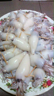 Ketupat Sotong Terengganu Noxxa