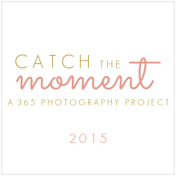 BTCAD- Catch the Moment