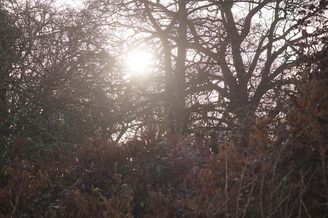 autumn photography in the Norfolk countryside