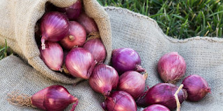 6 Benefits of Red Onion For Gastric And Gastrointestinal Tracts - Healthy T1ps