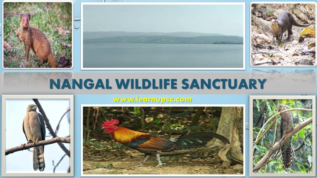 Nangal Wildlife Sanctuary