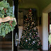 O Christmas Tree, How Lovely Are Your Branches