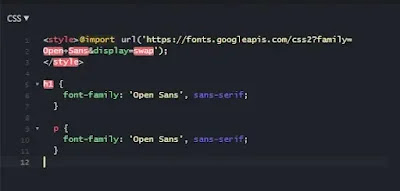 back end coding of a website importing fonts from google