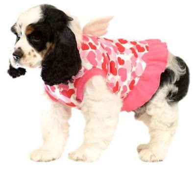 funny dog with pink clothes
