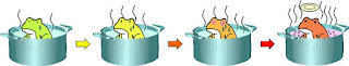 茹でガエル現象とホメオスタシスの秘密