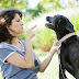 Mistakes Dog Owners Make When it Comes to Dog Training