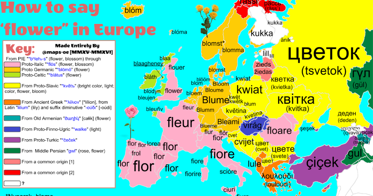 Landkartenblog: Die Europakarte der Blume - Das sagt Europa zu dem Wort "Blume"