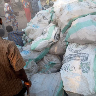 PHOTOS: Rotten bundles of naira notes dumped by river side in Benue