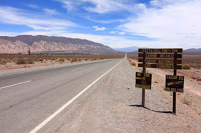 Campos de cardones en el  Parque Nacional de los Cardones