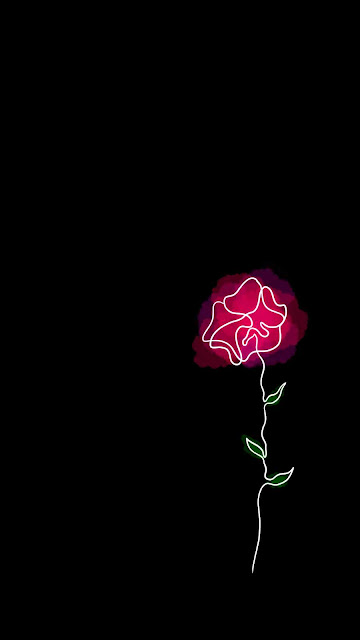 Pink Rose iPhone Wallpaper 4k