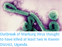 http://sciencythoughts.blogspot.co.uk/2017/10/outbreak-of-marburg-virus-thought-to.html