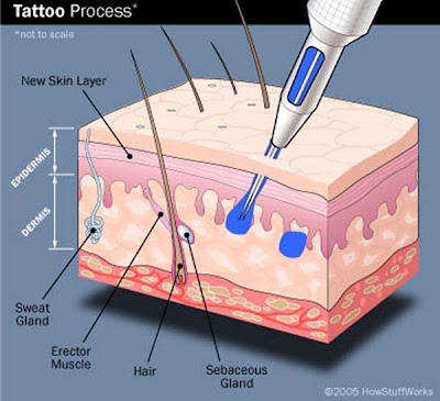 The needle penetrate through the skin to the dermis layer around 2mm and ink