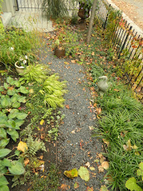 Cabbagetown Toronto Front Yard Fall Cleanup before by Paul Jung Gardening Services