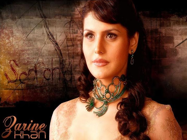 zarine khan hot photos & zarine khan hot pictures